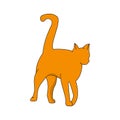 Red cat with a raised tail on a white background