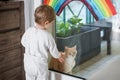 A red cat sits on the balcony during quarantine and the child wants to play with him. Rainbow on the window Royalty Free Stock Photo