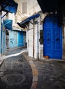 Red cat sitting in front of a blue traditional Tunisian door