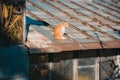 Red cat is sitting on the old roof. Royalty Free Stock Photo