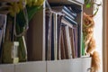 Red cat sitting on shelf with books Royalty Free Stock Photo