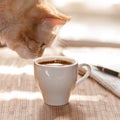 Red cat sniffing and looking a mug of black coffee Royalty Free Stock Photo