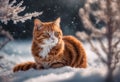 A red cat in a snowy forest