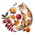 Red cat, tea, apple and autumn leaves. Watercolor painting Royalty Free Stock Photo