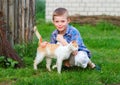 Red cat tenderly rubs against the hand of a little boy Royalty Free Stock Photo