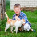 Red cat tenderly rubs against the hand of a little boy Royalty Free Stock Photo