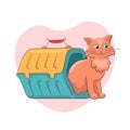 Red Cat in travel Basket for animals