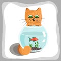 Red cat watches fish in aquarium