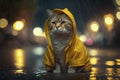 Red cat wearing yellow raincoat outdoors In bad rainy weather, lonely cat in yellow hood sitting at the road, night city lights,