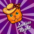 Red Cat in Wide-brimmed hat. Cat muzzle. Ladies night lettering. Vector illustration. Royalty Free Stock Photo