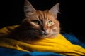 Red cat wrapped in a blue-yellow flag of Ukraine in a military helmet generated by AI