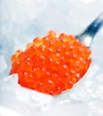 Red caviar Royalty Free Stock Photo