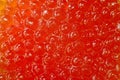 Red Caviar