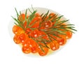 Red caviar canape with quail egg and dill twig Royalty Free Stock Photo