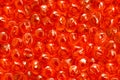 Red caviar close-up