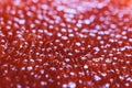 Red caviar close-up macro texture, salted red caviar on a seafood production, packaging and distribution company, producing