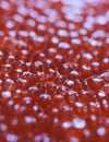 Red caviar close-up macro texture, salted red caviar on a seafood production, packaging and distribution company, producing