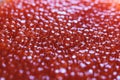 Red caviar close-up macro texture, salted red caviar on a seafood production, packaging and distribution company, producing