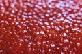 Red caviar close-up macro texture, salted red caviar on a seafood production, packaging and distribution company, producing