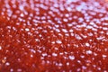 Red caviar close-up macro texture, salted red caviar on a seafood production, packaging and distribution company, producing