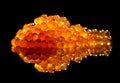 Red caviar close up. Salmon caviar isolated on black background. Delicious gourmet food. Delicatessen