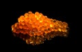 Red caviar close up. Salmon caviar isolated on black background. Delicious gourmet food