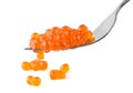 Red caviar in fork