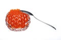 red caviar in a glass caviar bowl with a spoon standing next to it on a white isolated background Royalty Free Stock Photo