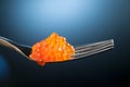 Red caviar heap on metal fork. Isolated, macro view Royalty Free Stock Photo