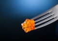 Red caviar heap on metal fork. Isolated, macro view Royalty Free Stock Photo