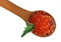 Red caviar heap in wooden spoon with rosemary Royalty Free Stock Photo