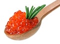 Red caviar heap in wooden spoon with rosemary Royalty Free Stock Photo