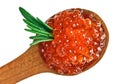 Red caviar heap in wooden spoon with rosemary Royalty Free Stock Photo