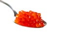 Red caviar isolated