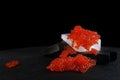 Red caviar lies on a large piece of ice. Salmon caviar on a black background. Delicacies. Festive snack. Useful omega. Royalty Free Stock Photo