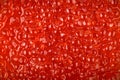 Red caviar, macro shot , focus on a center. Texture. Sea food. Healthy eating. Diet. Selective focus. Horizontal