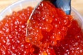 Red caviar in a metal spoon. luxury gourmet delicacy