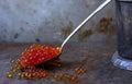 Red caviar in an old silver spoon black moody background metal
