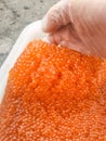 red caviar in plastic container. Salmon caviar, diet food Royalty Free Stock Photo