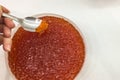 red caviar in plastic container. Salmon caviar, diet food Royalty Free Stock Photo