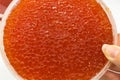 red caviar in plastic container. Salmon caviar, diet food Royalty Free Stock Photo