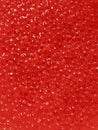 Red Caviar, Premium Seafood