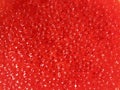 Red Caviar, Premium Seafood