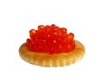 Red caviar on a round cracker isolated on white background Royalty Free Stock Photo