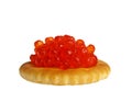 Red caviar on a round cracker isolated on white background Royalty Free Stock Photo