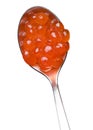 Red caviar. Salmon caviar on a spoon. Fish caviar. Raw seafood. Delicacy food on white isolated background.