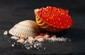 Red caviar in seashell Royalty Free Stock Photo