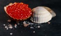 Red caviar in seashell Royalty Free Stock Photo