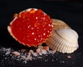 Red caviar in seashell Royalty Free Stock Photo