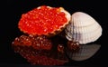 Red caviar in seashell Royalty Free Stock Photo